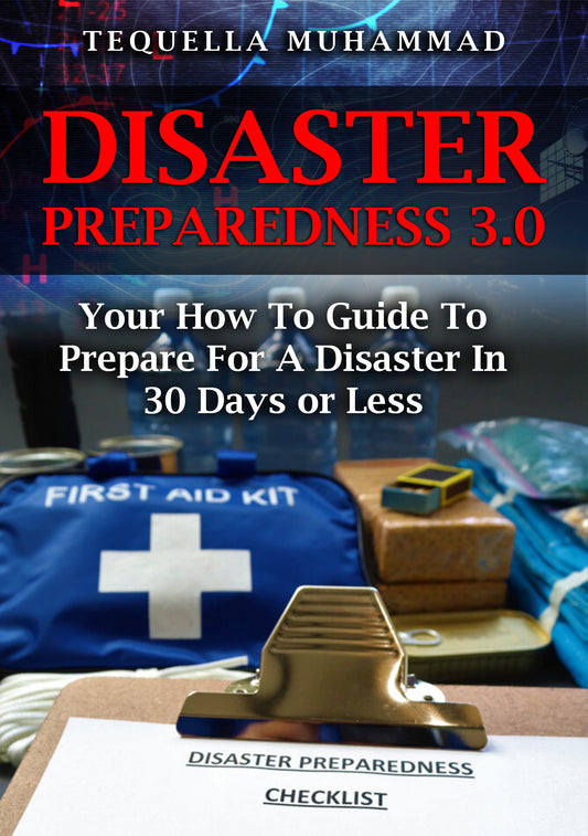 E-book Disaster Preparedness 3.0 E-book
